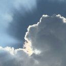 중부-현장-중부-333 | 다낭에서 보물 찾기 (1)