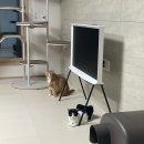 일만족발 순천점 | 세리프 43인치 티비 구입 ! 광주 전남 셋탑박스 선정리 업체 추천 / 30평대 아파트 43인치 티비 설치 후기