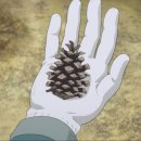 솔방울캠핑장 이미지