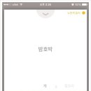 다이어트 코치