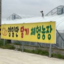 곡강농장 이미지