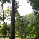 블루라군 이미지