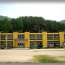 괴목초등학교 Daum카페