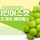 영동푸드 이미지