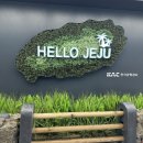 팔도렌트카 이미지