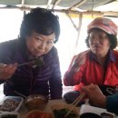명옥 농장 Daum카페