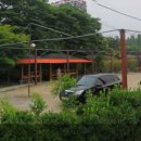 충남장어구이 이미지