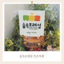 [서울] 노원구 공릉동 아기랑 가볼 만한 곳 ㅣ 모래놀이 숲속모래성 키즈카페 노원공릉점 후기