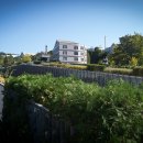 momo house(모모하우스) 이미지