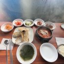 뚱보샵