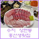 홍선생횟집 | [상현동 / 홍선생횟집] 회 포장&배달전문점에서 대방어회 배달 후기