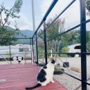 양양별장 이미지