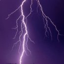 가야쇼핑 이미지