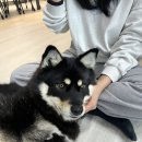 까뭉 | 2월 2번의 순천(avec 까뭉)