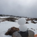 승지축산 | 24년 2월 겨울 동절기 한라산 영실코스 탐방 후기 및 팁이에요!