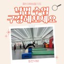 용인대 명성 합기도 이미지