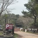 길갈농장 | 제주 가볼만한곳 귀여운 동물체험 길갈팜랜드