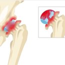 정동병원 이미지
