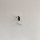 삼풍비디오 이미지