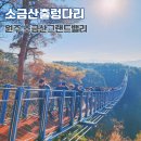 진카정비센터 | 원주 소금산출렁다리 케이블카 코스 가는길 소요시간 강원도 여행 간현관광지 가볼만한 곳