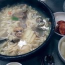 희나 이미지