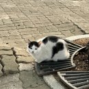 금오산로-14 이미지