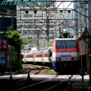 H1425 네이버블로그