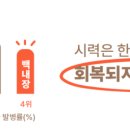 펫케어연구소