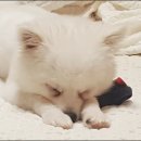 알뜰자동차공업사 이미지