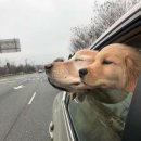 두한성형외과의원 이미지