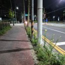 중리서로 이미지