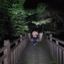 괴산 막장악칠+덕가산 환종주 (260627) 이미지