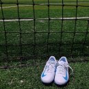 현대꽃나라 | 대전여자축구 더(more) 빛나는 중구스카이 ✨ 회원들의 풋살화를 알아보자! - 1탄