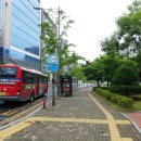 비슬산둘레길 3구간 이미지