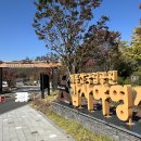 계룡산 갑사자동차야영장 이미지