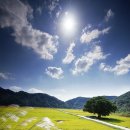 느티나무길 이미지