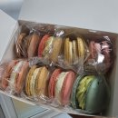 한양골프크리닉스쿨 | 차가웠던 겨울 지나 2026년의 따뜻한 봄 시작!