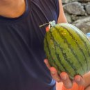 원두막캠프 이미지