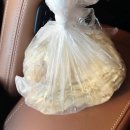 세븐일레븐 군산나운본점 | 군산 당일치기 여행 (1) 중동호떡, 동양어묵