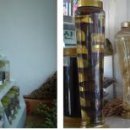 제천약초영농조합법인