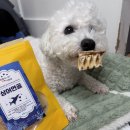 반했다 너한테 | 반했다너한테 상어연골 무염 황태포, 강아지수제간식 후기!