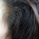 비너스헤어샵 - 안동시 | 비너스헤어샵
