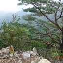 공작산주차장 이미지