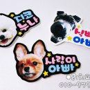 주식회사 하림펫푸드 이미지