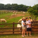 시은목장 이미지