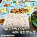 생스쿠바수산횟집