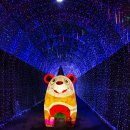 상상터널 이미지