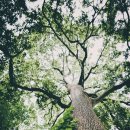 나무와풍경 이미지