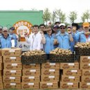 한여름밤의 돗자리 야외 극장 이미지