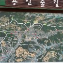 ＜16년 07월 27일 수요일＞용인 석성산 산행-용인시청역- 이미지
